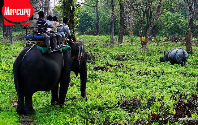 dooars elephant safari cost