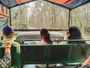 chitwan forest safari