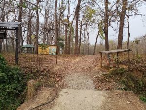 chitwan national park