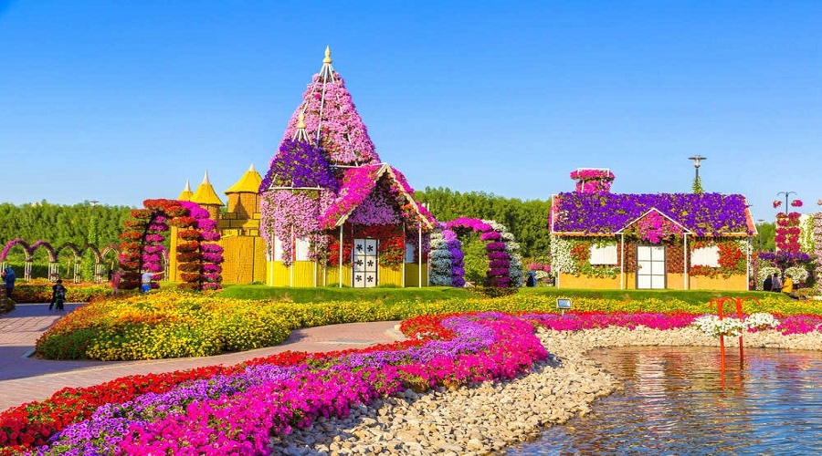 miracle garden during dubai touir from india