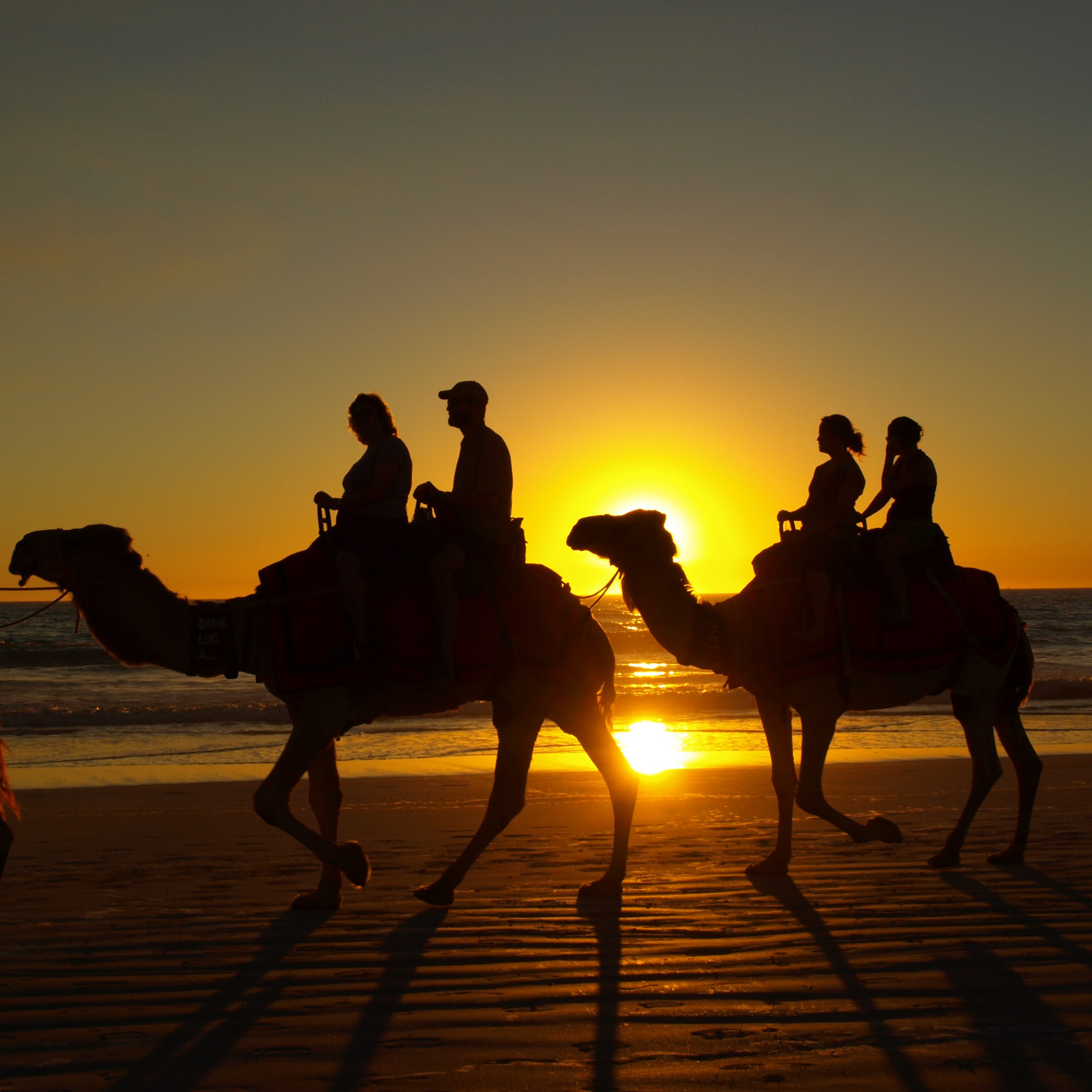 Camel Ride