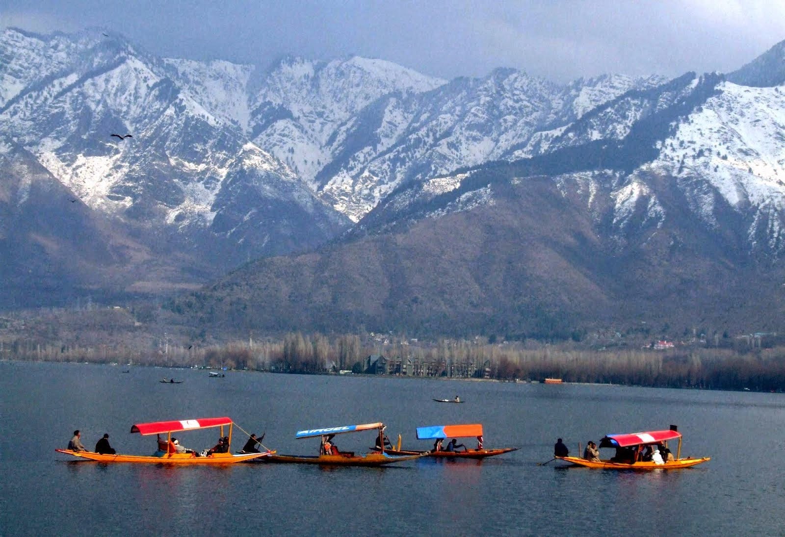 Dal-Lake-shikara-Srinagar-Jammu-Kashmir-india
