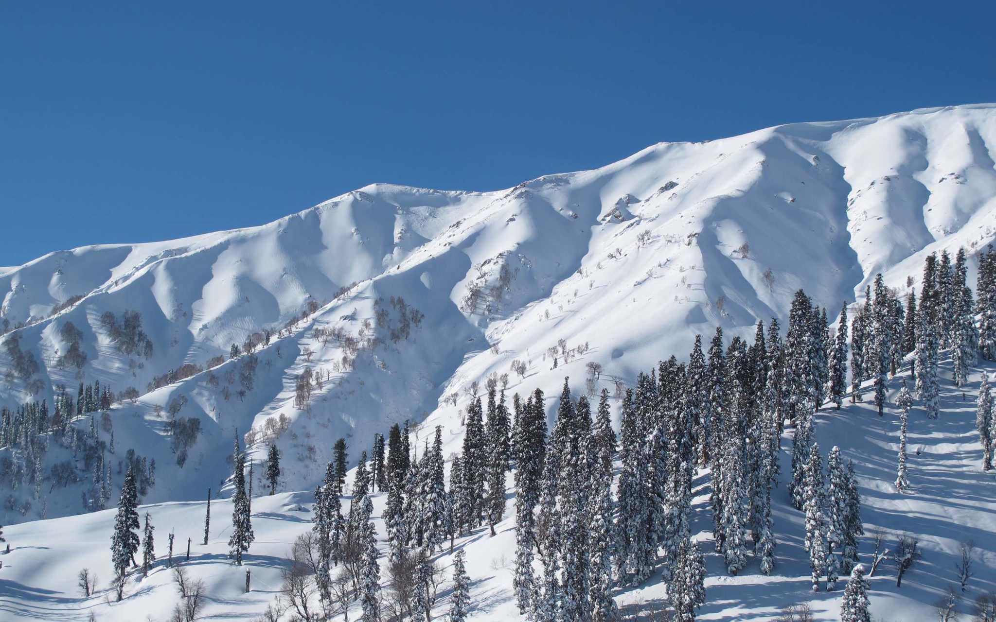 Gulmarg1