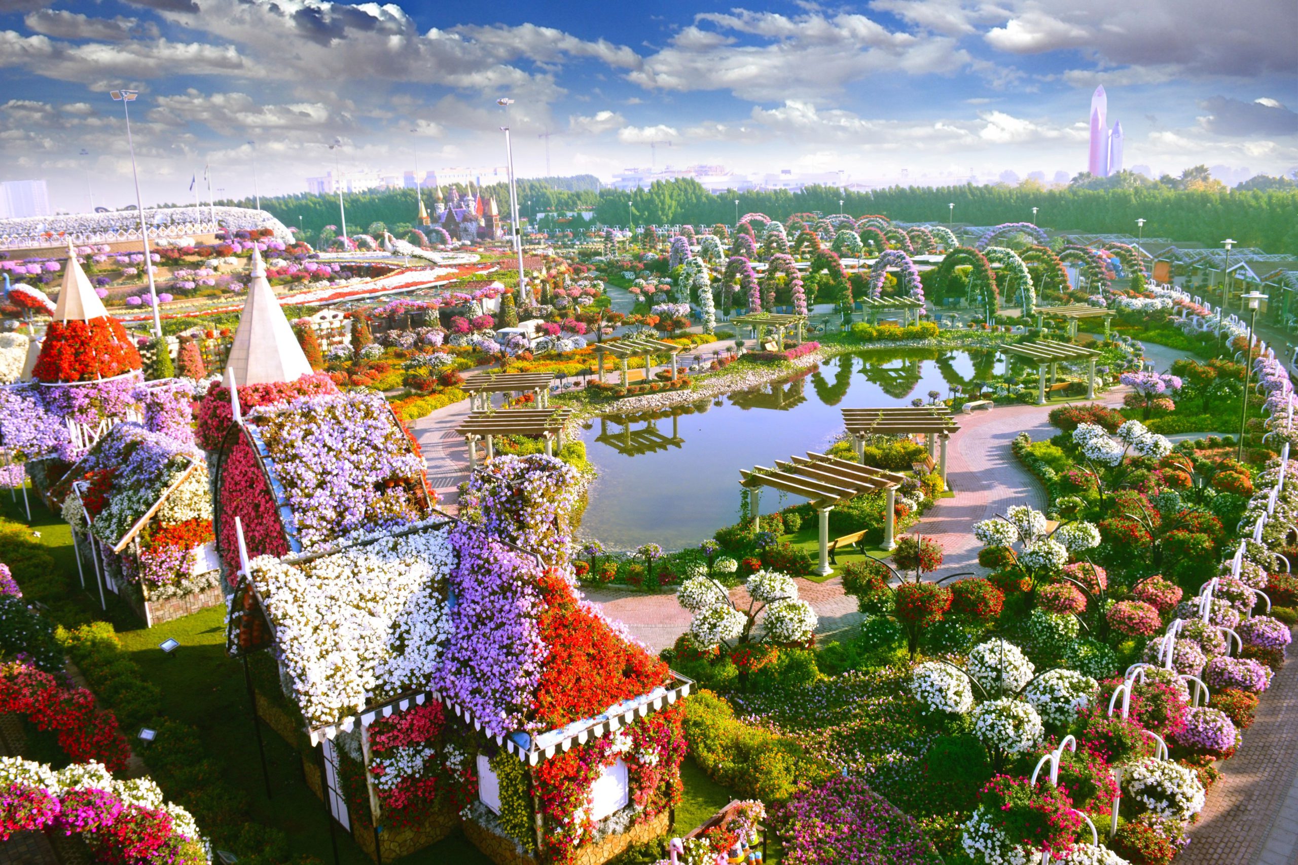 Miracle Garden