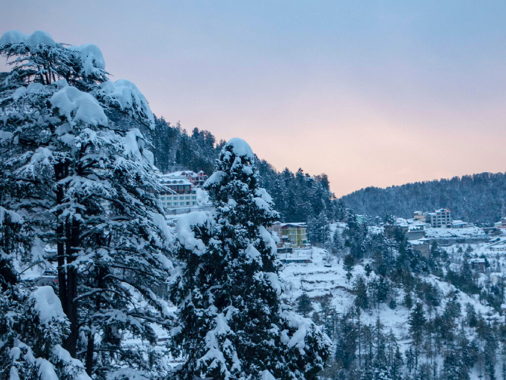 Shimla Manali Tour