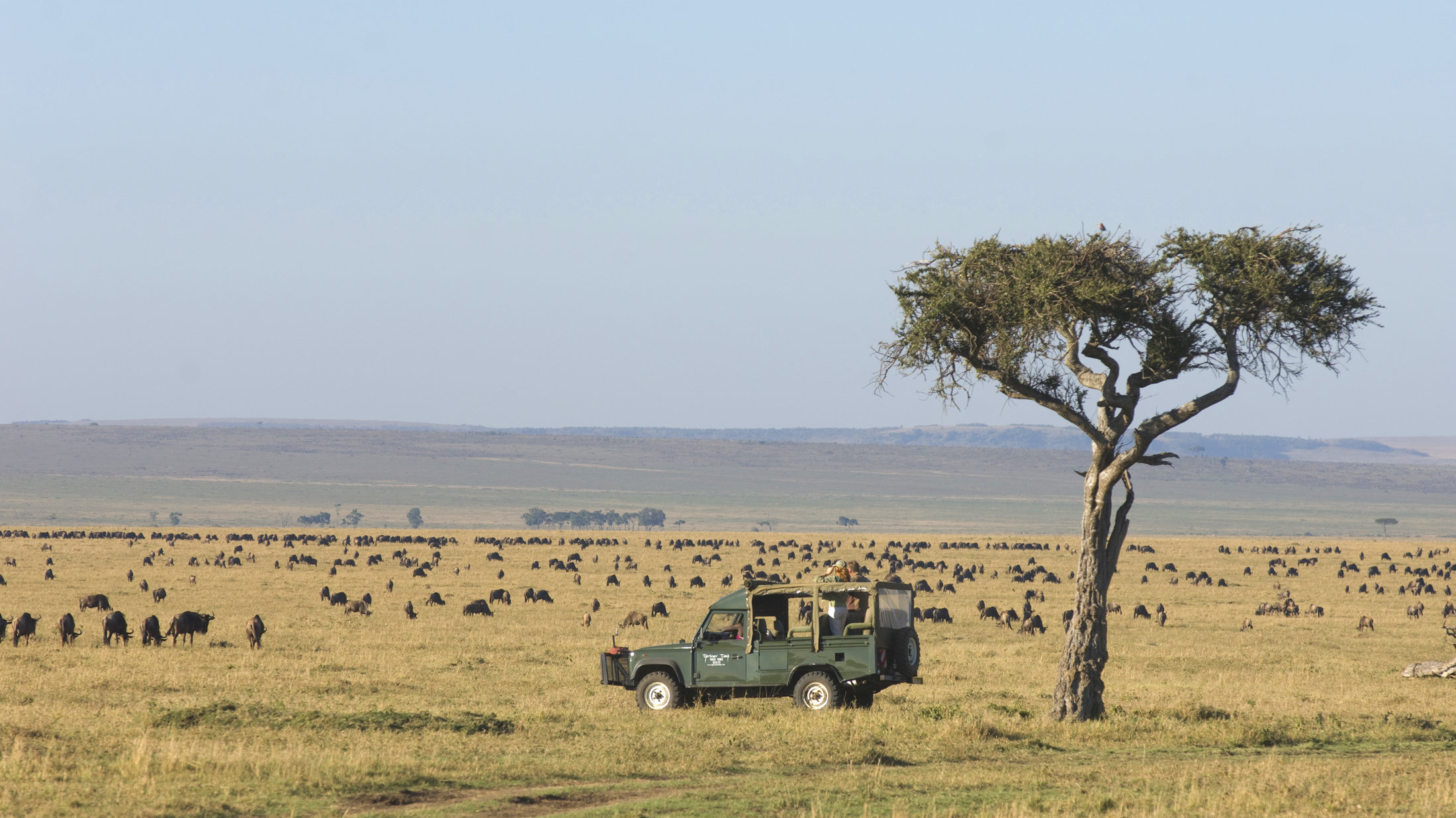 Masai Mara Safaris by land cruiser