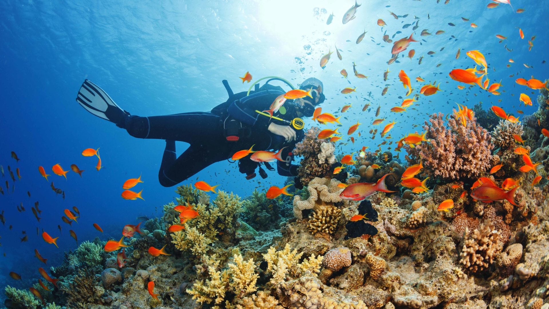 Scuba diving