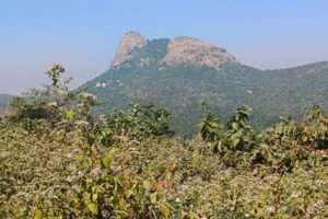 gajaburu elephant hill at mamudi purulia