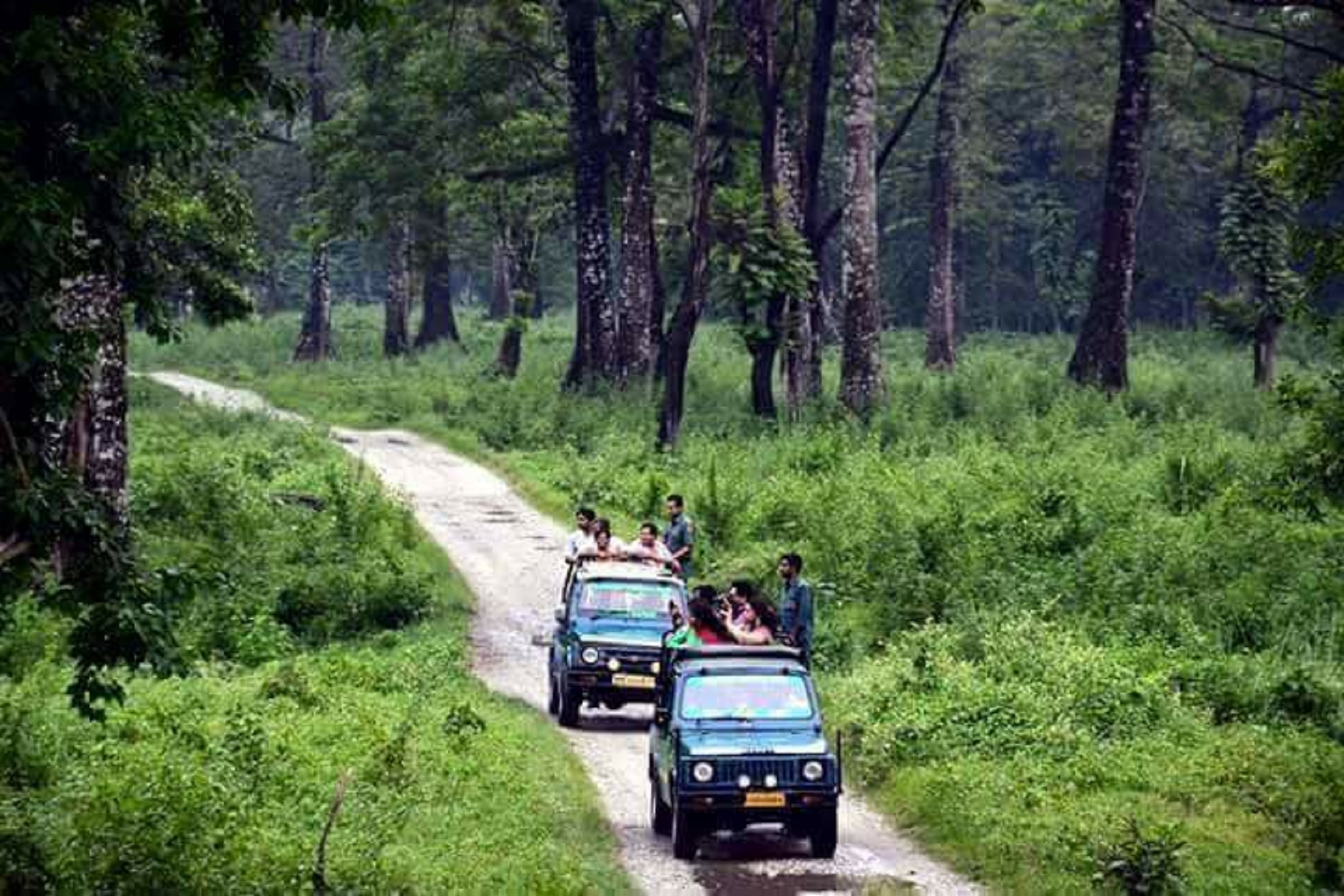 Best Doars tour operator