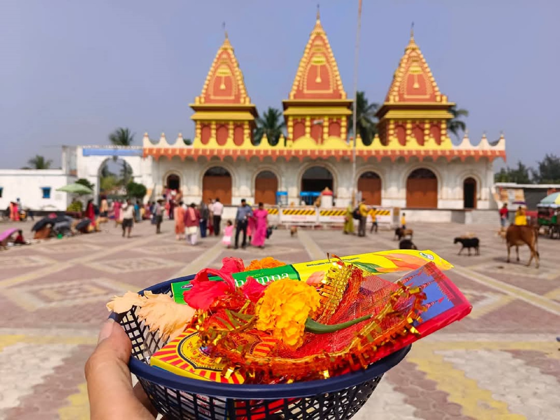 Kolkata to gangasagar-tour package